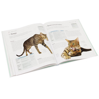 Все породы кошек 5