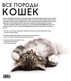 Все породы кошек 6