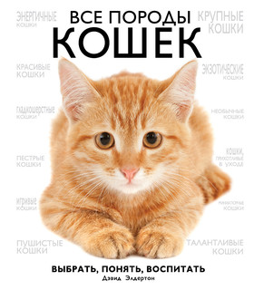 Все породы кошек 7
