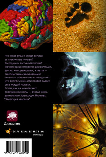 Эволюция человека. В 2 книгах. Книга 2. Обезьяны, нейроны и душа 2