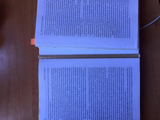 История государства и права зарубежных стран. Учебник для бакалавров 24