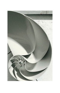 Высший замысел 8