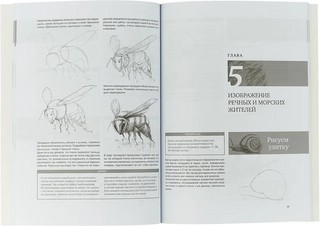 Простые уроки рисования для начинающих 2