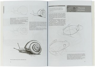 Простые уроки рисования для начинающих 3