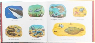 Тюлька. Маленькая рыбка и большая выдумщица 5