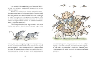 Сказки сельвы 4