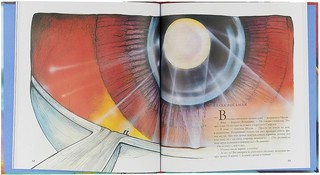 Тайны анатомии 2