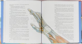 Тайны анатомии 3