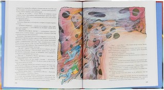 Тайны анатомии 4