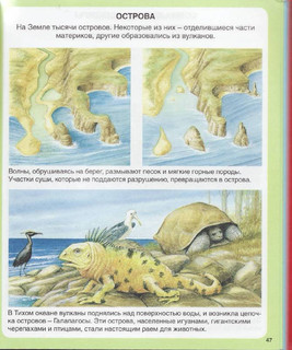 Чудесная планета 8