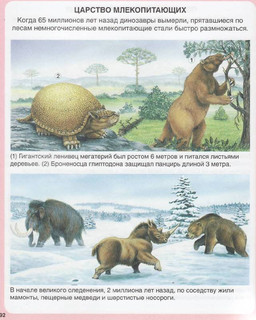 Чудесная планета 14