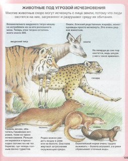 Чудесная планета 15