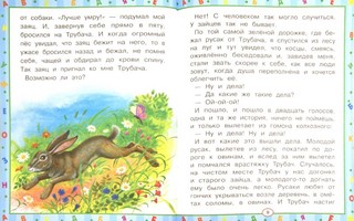 Берестяная трубочка 2