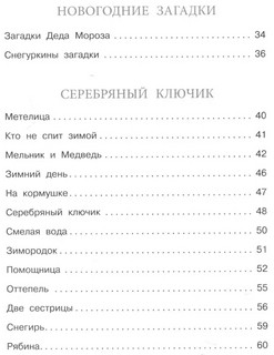 В новогоднем лесу 5