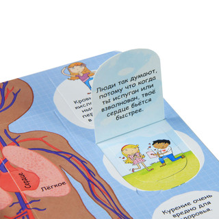 Секреты человека. Волшебные створки 2