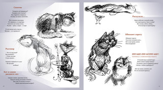 Полное собрание котов 8