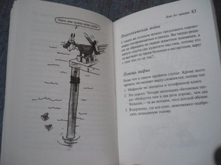 Кот без прикрас 2