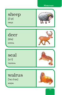 Мой первый иллюстрированный словарь английского языка 13