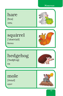 Мой первый иллюстрированный словарь английского языка 15