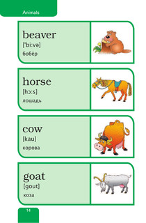 Мой первый иллюстрированный словарь английского языка 16