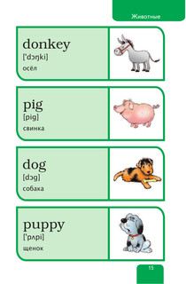 Мой первый иллюстрированный словарь английского языка 17
