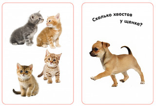 Развивающие карточки 'Изучаем цифры', 36 карточек 2