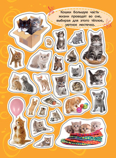 Котята. 100 наклеек 3