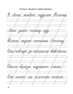 Мои первые школьные прописи. В 4 ч. Ч. 4 4