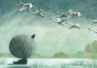 Гадкий утенок 11