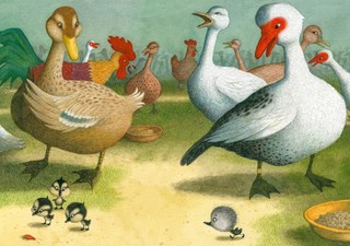 Гадкий утенок 5