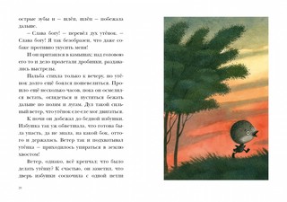 Гадкий утенок 9