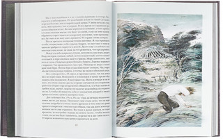 Жизнь и удивительные приключения морехода Робинзона Крузо 2