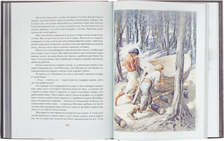 Жизнь и удивительные приключения морехода Робинзона Крузо 3