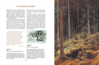 Айвазовский, Шишкин, Левитан. Мастера русского пейзажа 10