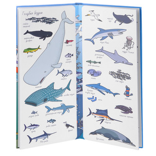 Найди и покажи. Океаны 2