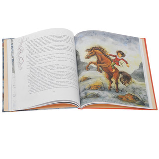 Рони, дочь разбойника 3