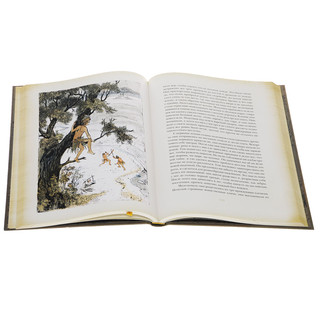 Приключения Тома Сойера 2