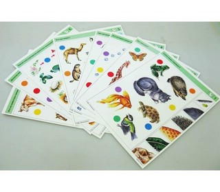 Животные (2). Комплект карточек к планшету Логикомалыш 2