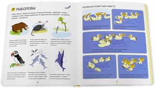 Энциклопедия для малышей. Животные 2