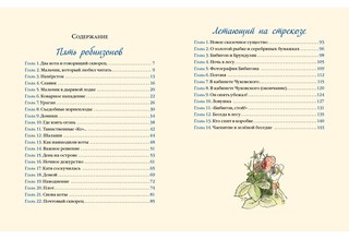 Летающий на стрекозе 4