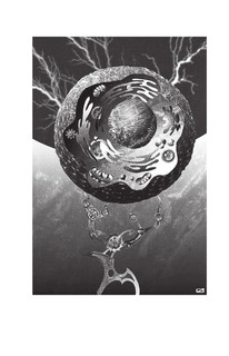 Сумма биотехнологии 13