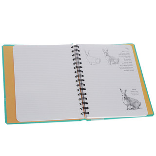 SketchBook. Животные. Экспресс-курс рисования 2