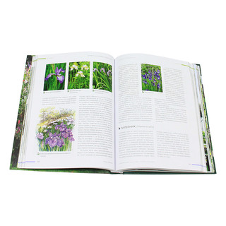 Ландшафтный дизайн. Своими руками - от проекта до воплощения 5