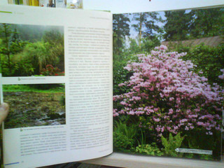 Ландшафтный дизайн. Своими руками - от проекта до воплощения 6