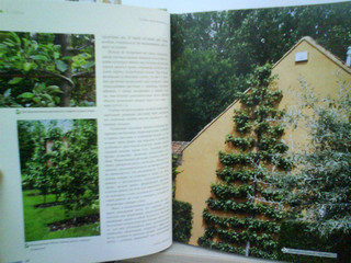 Ландшафтный дизайн. Своими руками - от проекта до воплощения 7