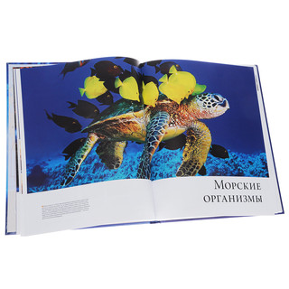 Океаны. Иллюстрированный атлас 3