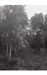 Москва-Пекин 13