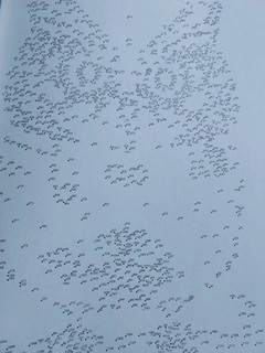 От точки к точке. Головоломки для рисования и раскрашивания 3