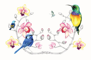 Полёт фантазии. Альбом для раскрашивания и релаксации 2