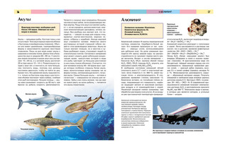 Полная Энциклопедия Школьника Ред. А. Горкин 2